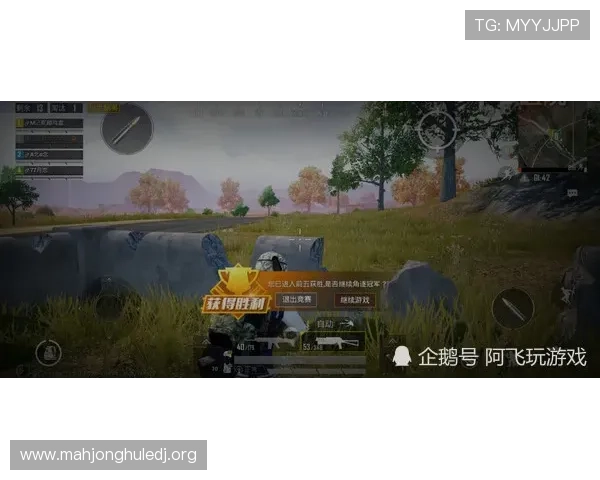 PG斗鸡电游手机版试玩平台推荐让你随时随地享受刺激的斗鸡对战